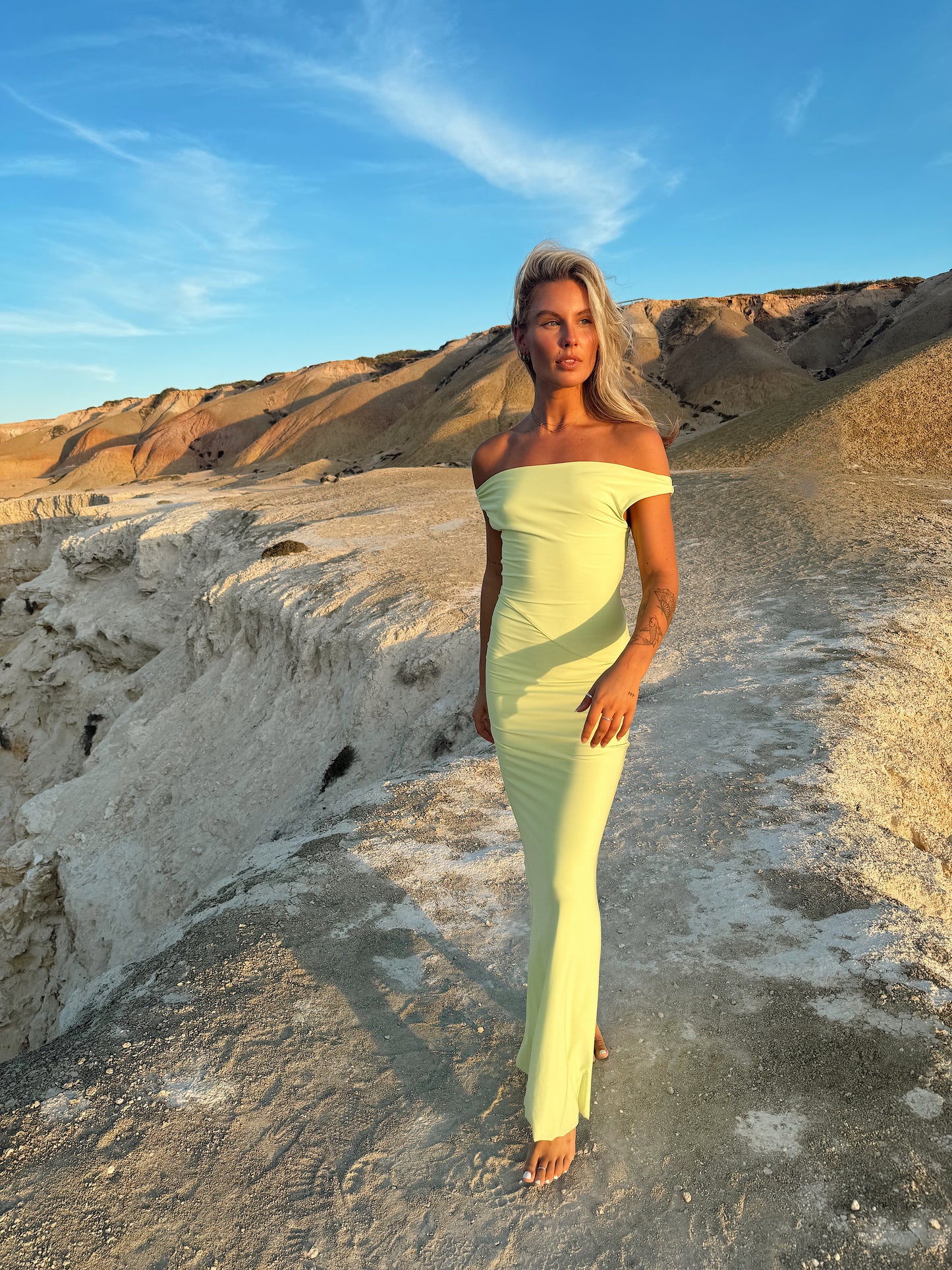 Bettina Gown in Citron